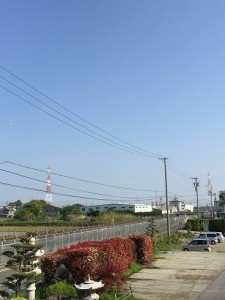 IMG_0138